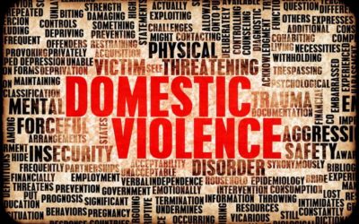 What is Domestic Violence in Florida?